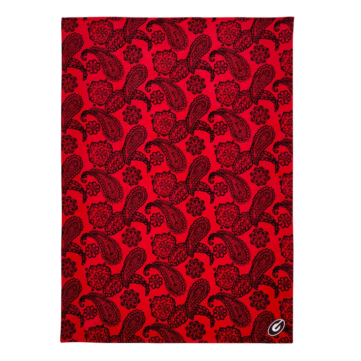 Collegiate Plush XL Throw Blanket