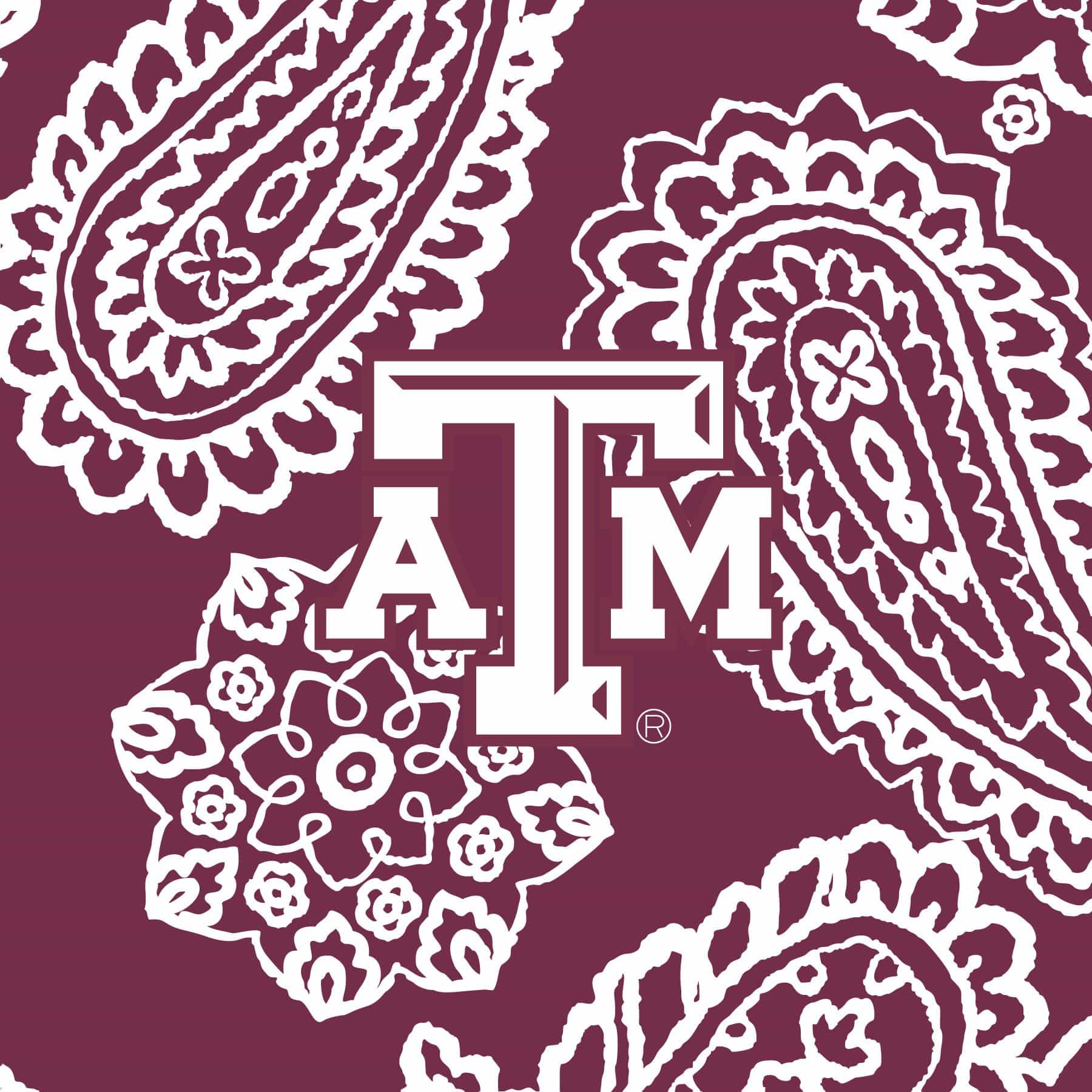 Collegiate RFID All in One Crossbody Bag