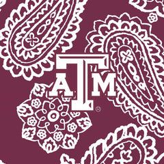 Collegiate RFID All in One Crossbody Bag