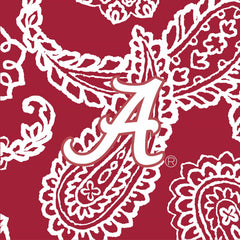 Collegiate RFID All in One Crossbody Bag