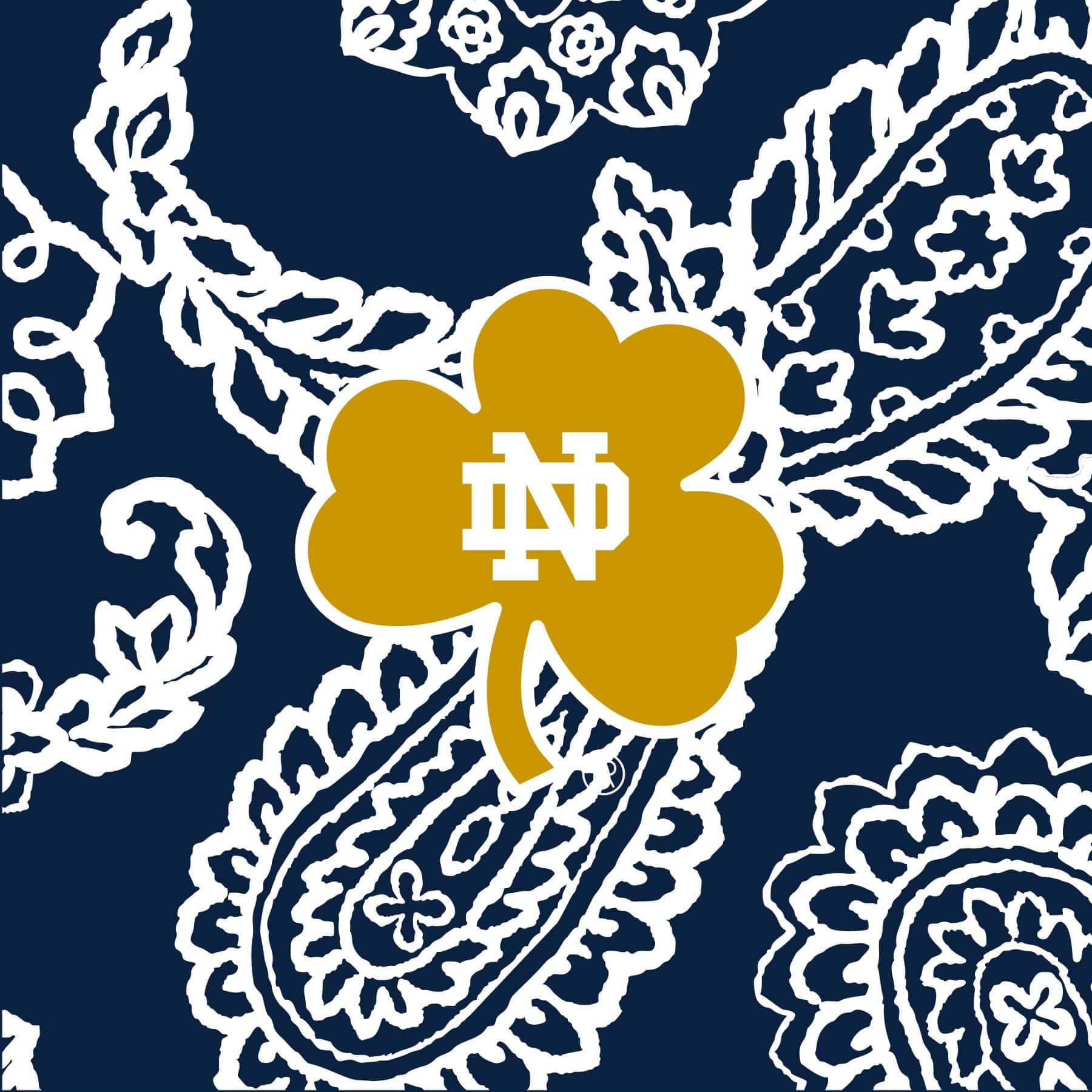 Collegiate RFID All in One Crossbody Bag