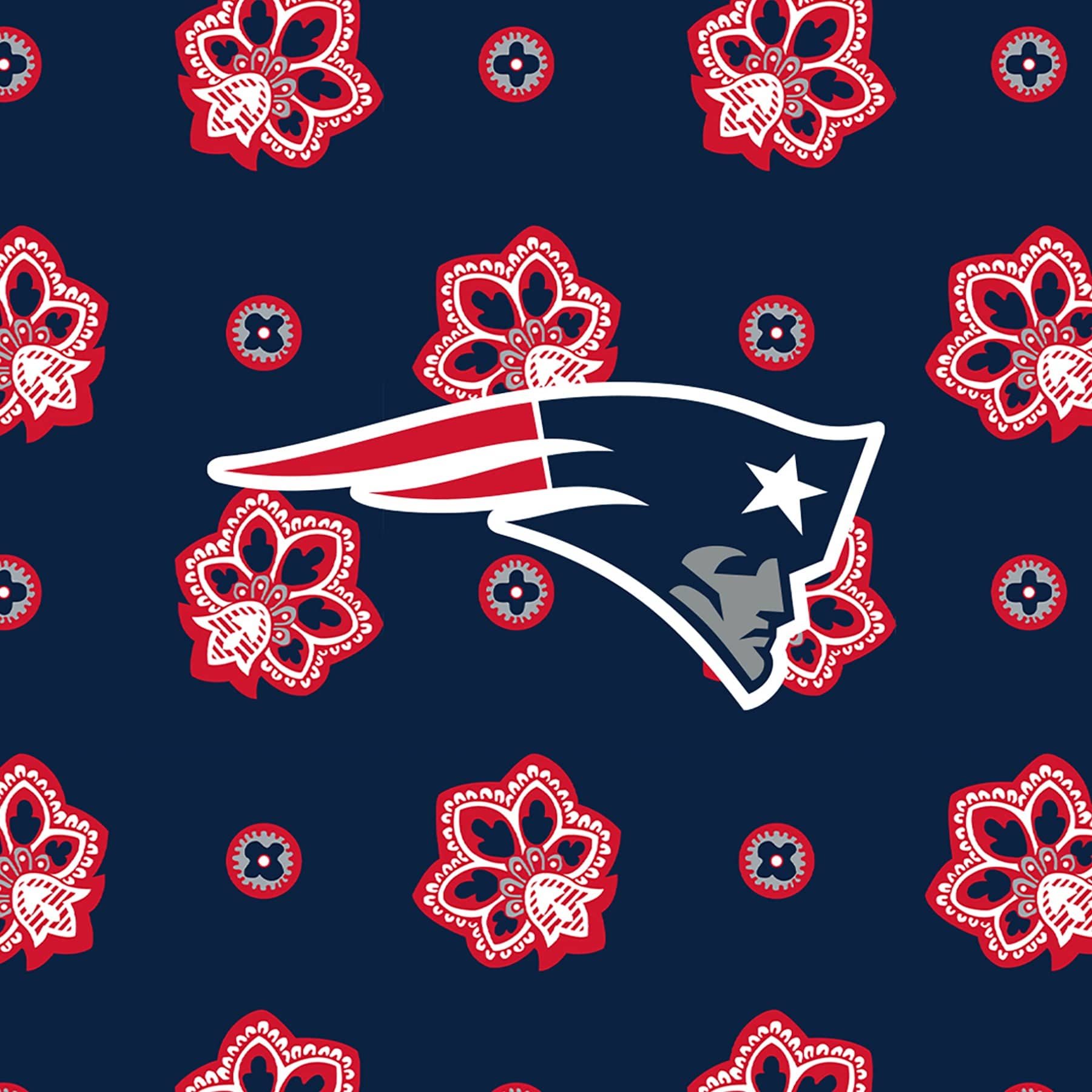 NFL Large Car Tote