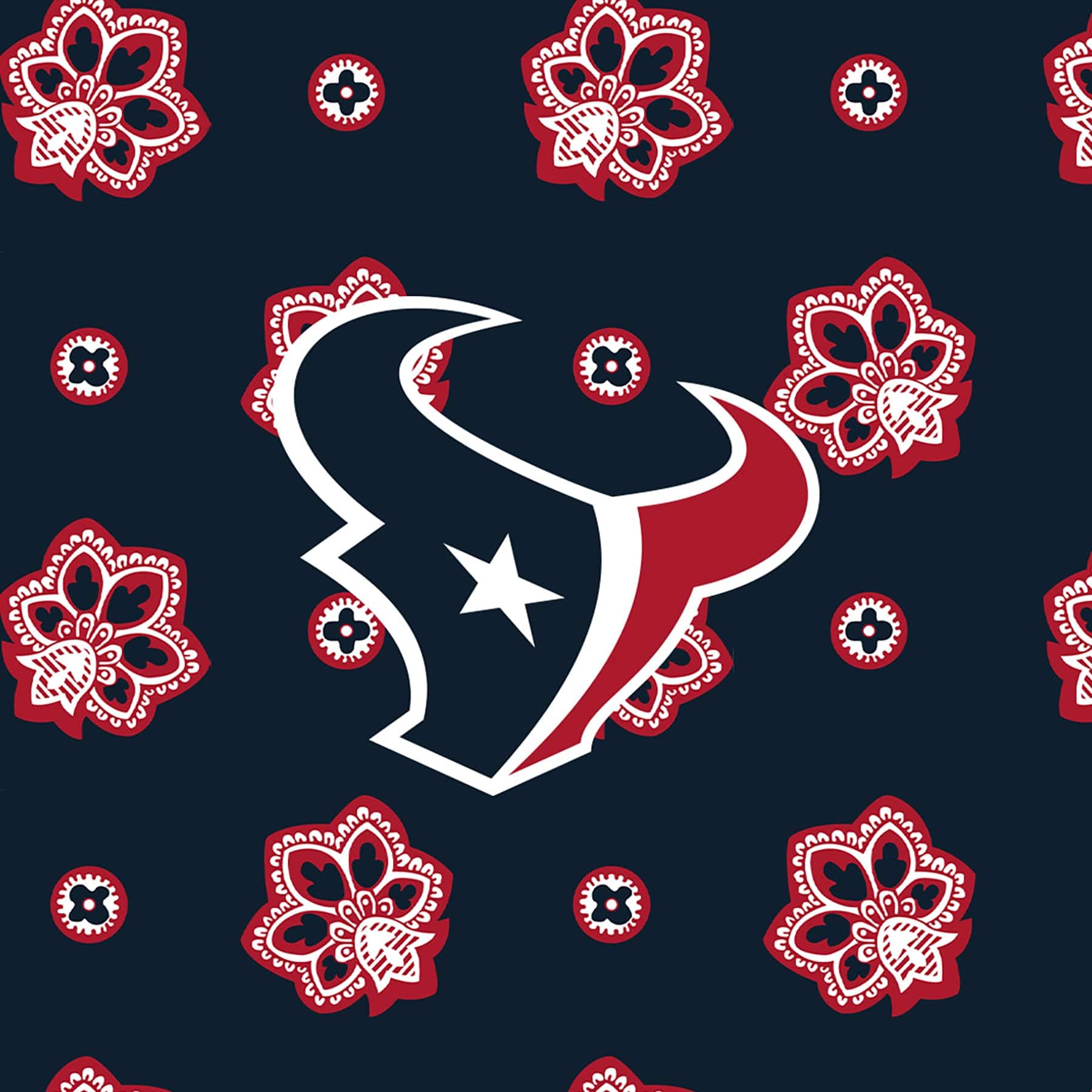 NFL Large Car Tote