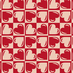 Plush Throw Blanket