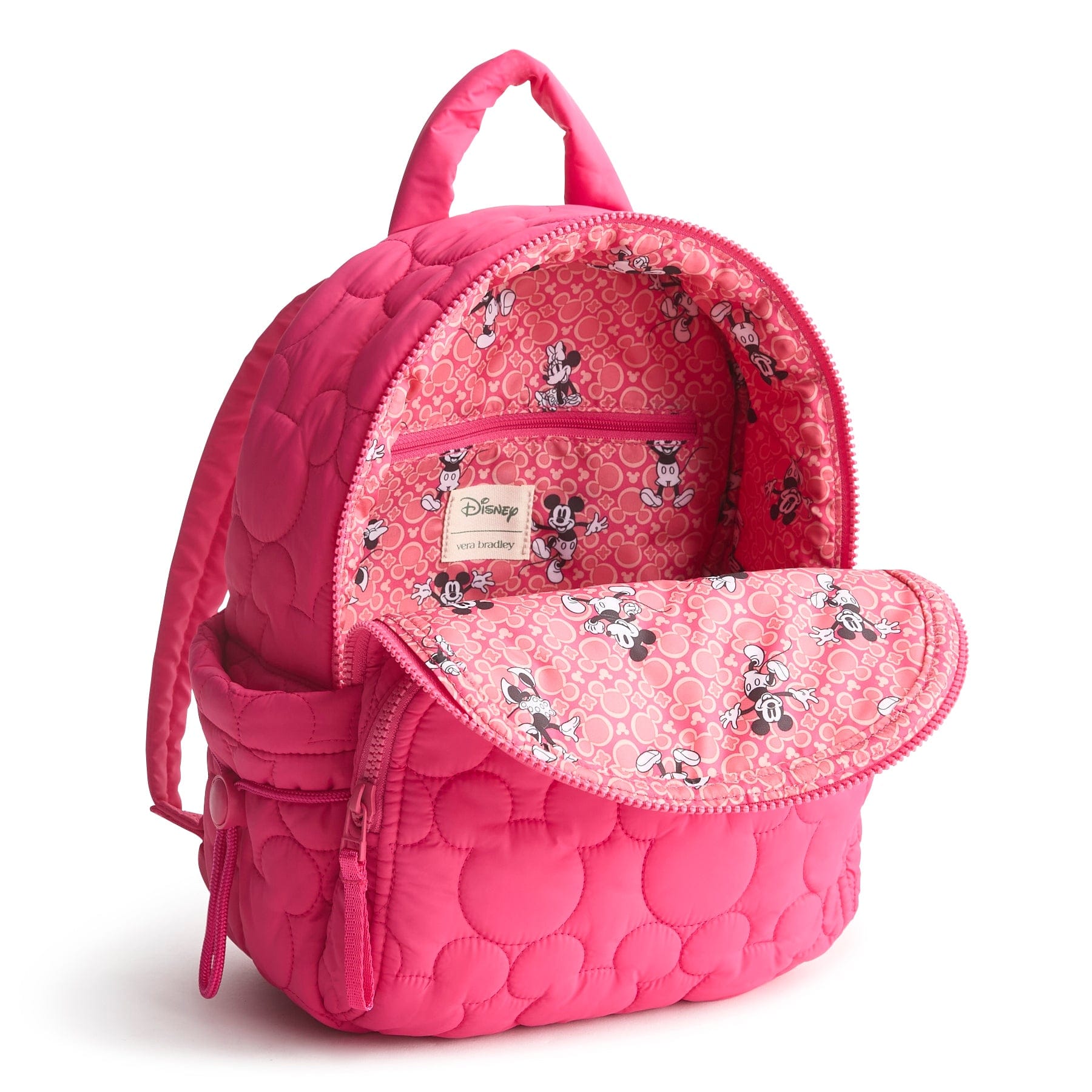Disney Small Banbury Backpack