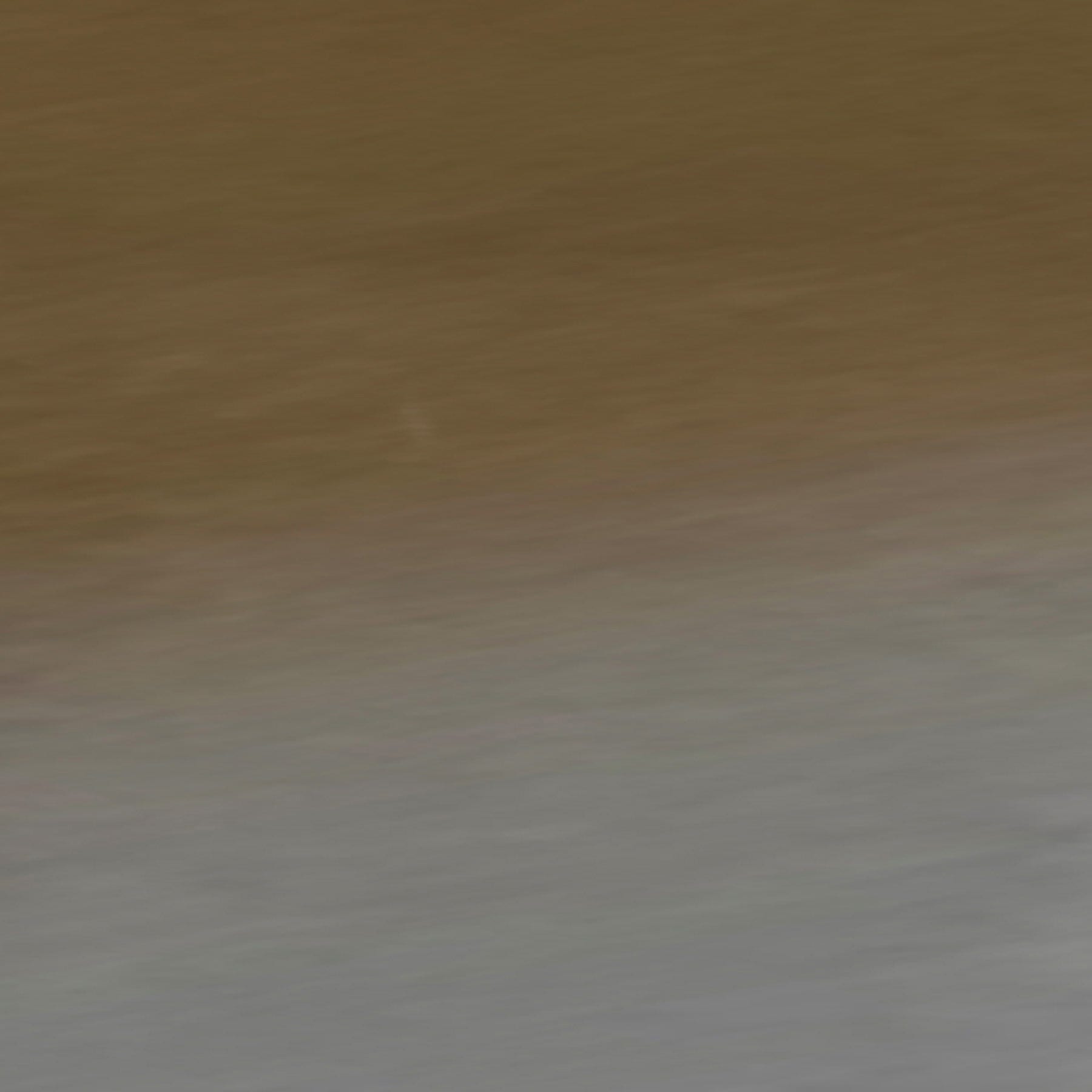 Bryce Polarized Sunglasses
